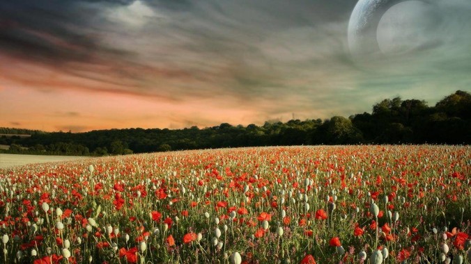 老公想要买2万左右的相机，我该同意吗？